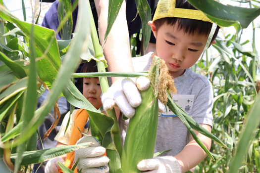 埼玉産直協議会『農・彩・土』(のうさいど)